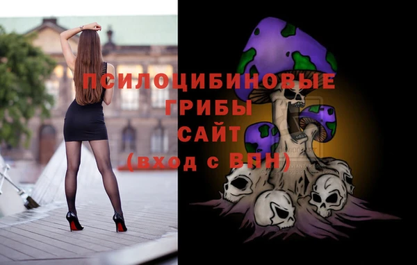 МДПВ Гусев