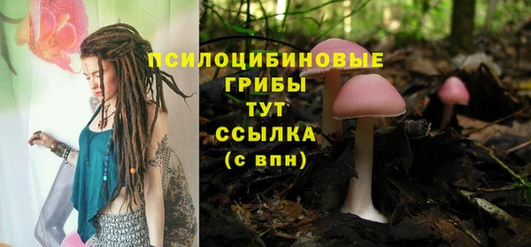 МДПВ Гусев